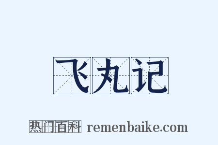 飞丸记是什么意思的图片